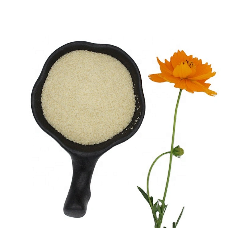 Eking Gelatins Food Additives High Quality Good Price Raw Material Gelatin Food CAS 9000-70-8